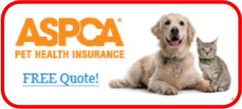Pet Health Insurance Quote