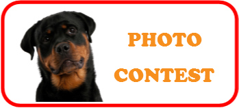 Pet Photo Contest